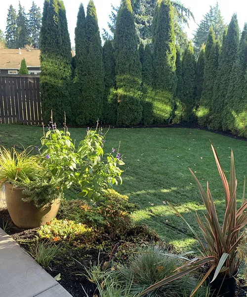 Outdoor Living Space Project in Kirkland 